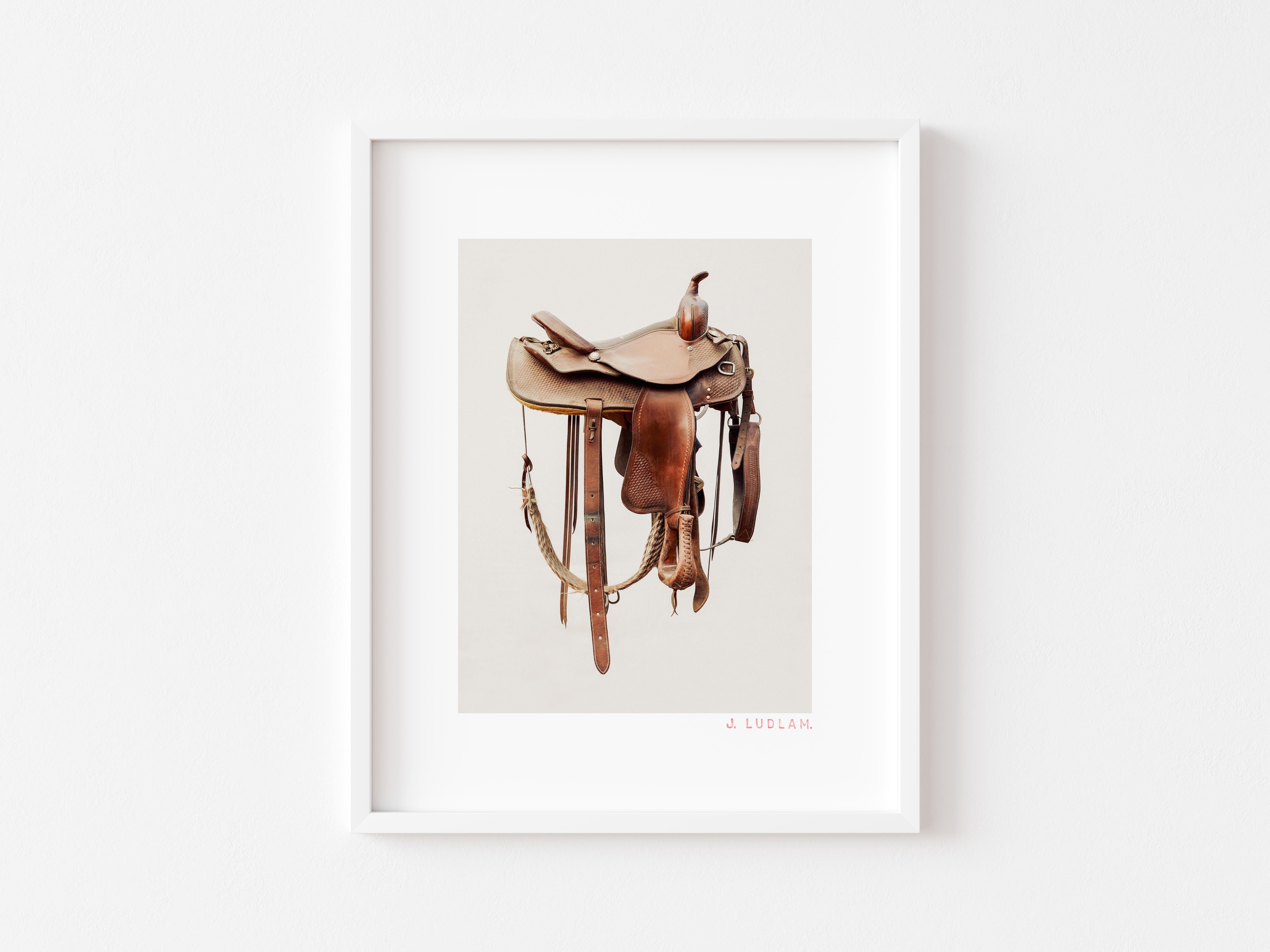 Saddle Study : Unknown - Realist Photograph by Jack Ludlam