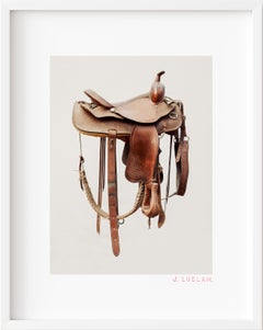 Saddle Study : Unknown