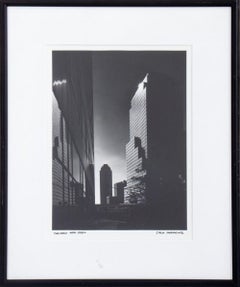 "The New New York"