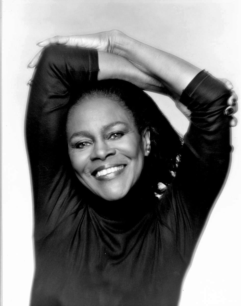 11 x 14" alte Silbergelatinefotografie der Schauspielerin Cicely Tyson, aufgenommen 1976. Verso signiert von Jack Mitchell.  Kommt direkt aus dem Jack Mitchell Archiv mit einem Echtheitszertifikat.

 Jack Mitchells (1925-2013) umfangreiches