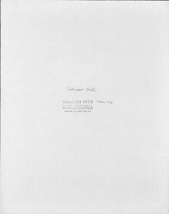 L'artista Salvador Dalì fotografato nell'Hotel Ritz di Barcellona, Spagna