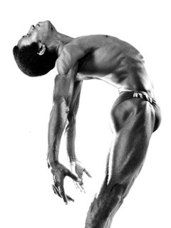 Le Théâtre de danse du danseur de Harlem Ronald Darden