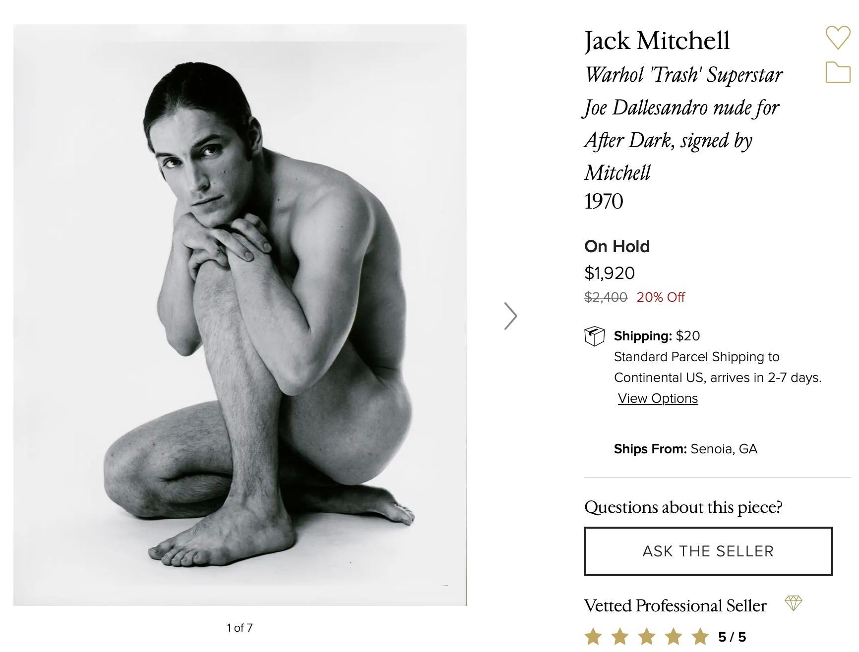 Four Warhol-Related Vintage Jack Mitchell Photographs On Hold For Customer 3