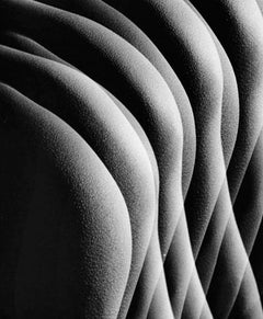 Large format vintage multiple exposure male nude, signed by Jack Mitchell