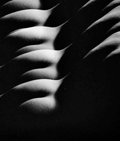 Großformatiger männlicher Akt in Mehrfachbelichtung, signiert von Jack Mitchell, Vintage