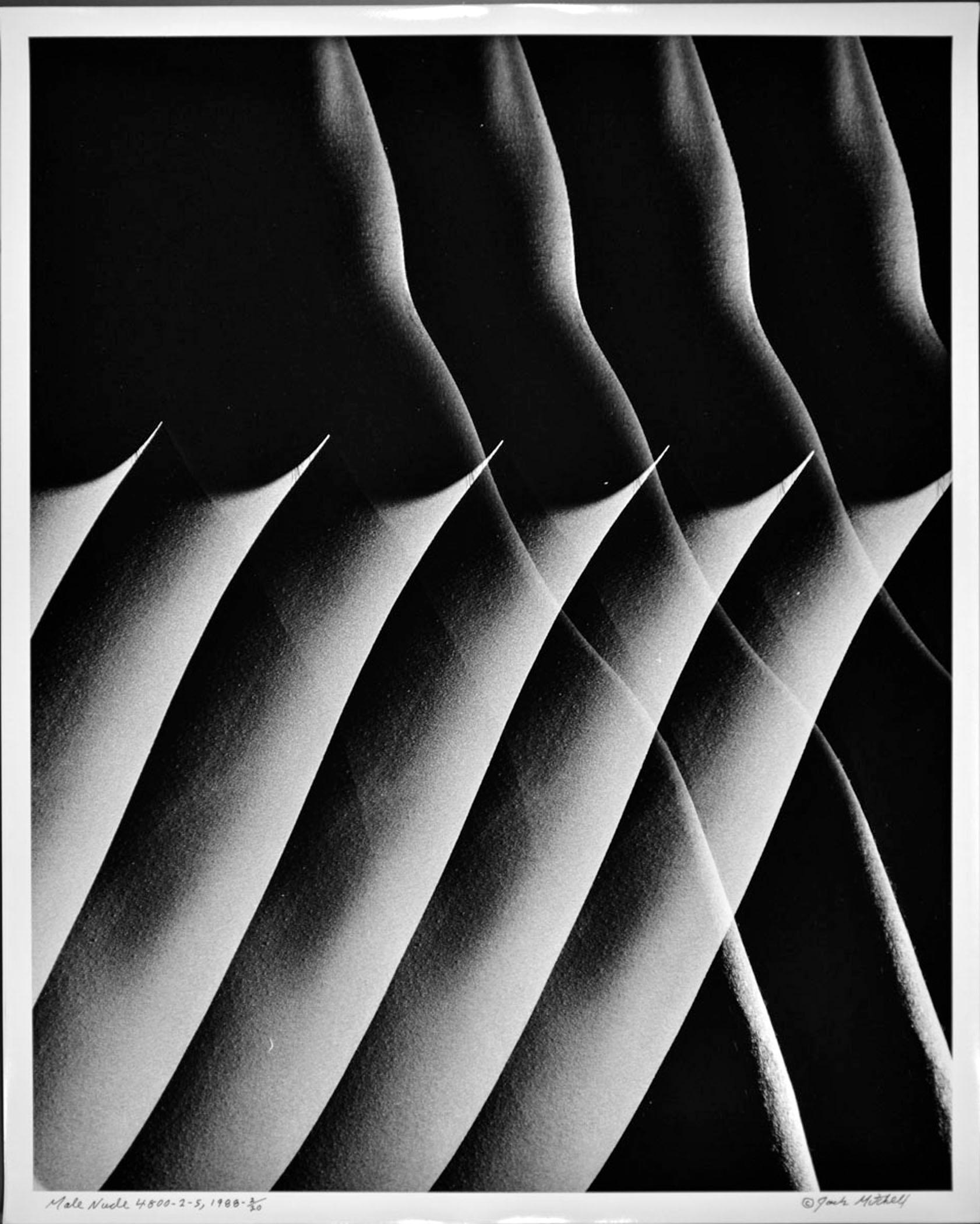 Large Black And White Photography - 116 For Sale on 1stDibs