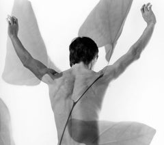 Male model Milton Dean multiple exposure nude, signed by Jack Mitchell
