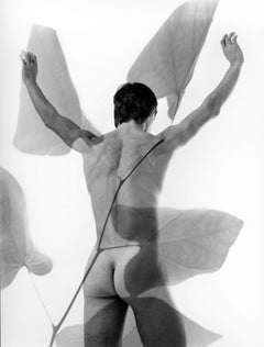 Vintage Male model Milton Dean multiple exposure nude, signed by Jack Mitchell