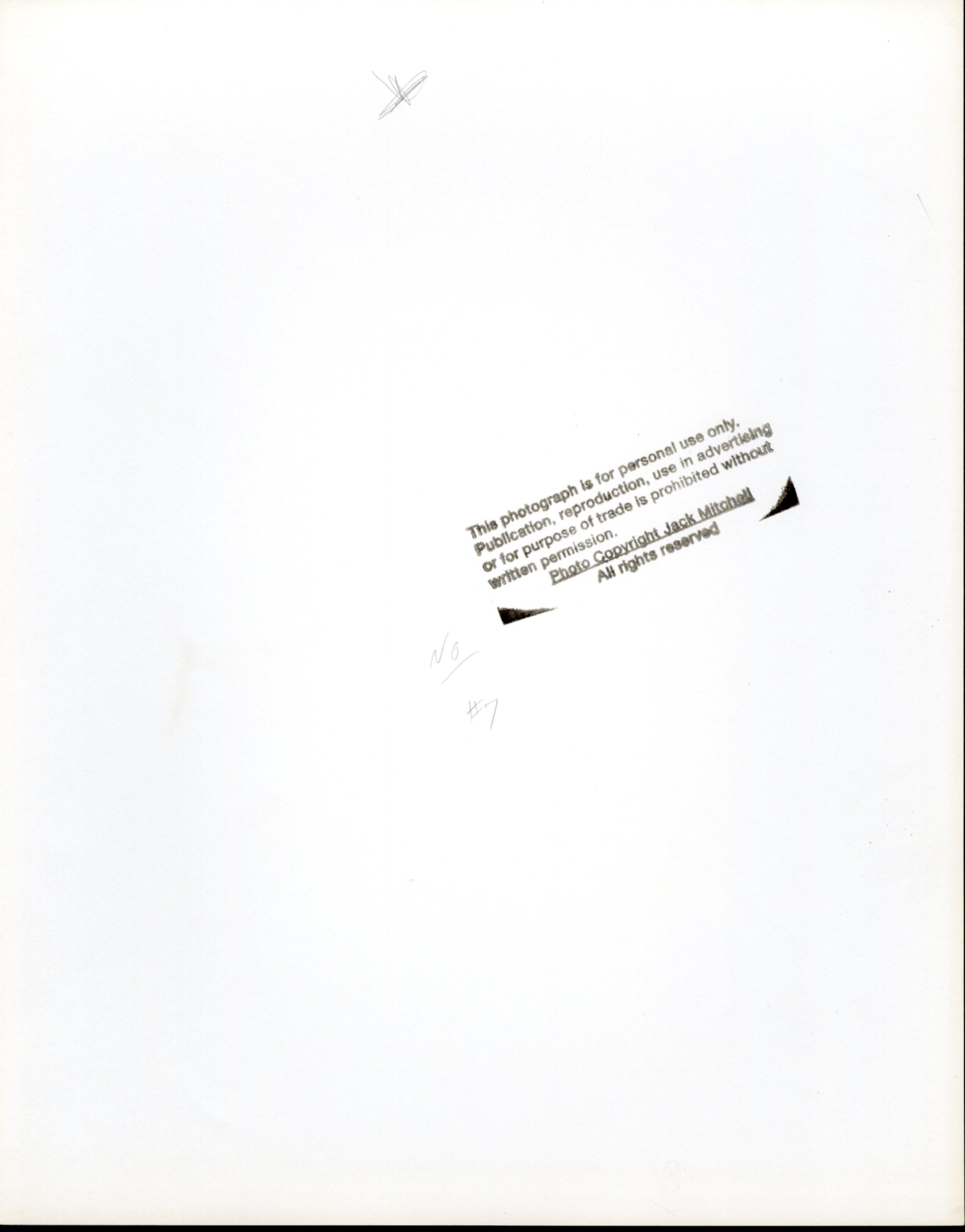 Esposizione multipla di un modello maschile nudo con foglie di piante - Photograph di Jack Mitchell