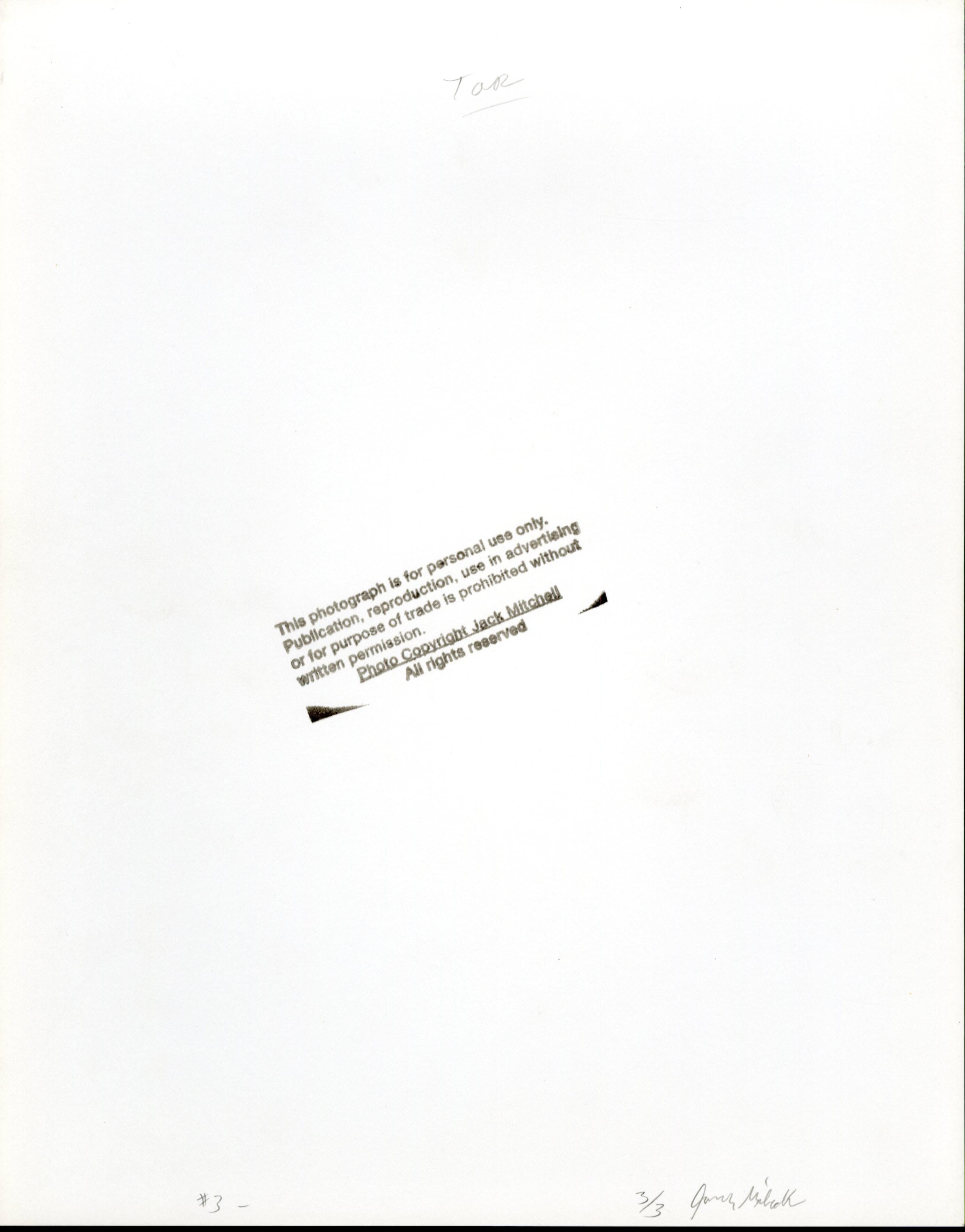 Esposizione multipla di un modello maschile nudo con foglie di piante - Photograph di Jack Mitchell