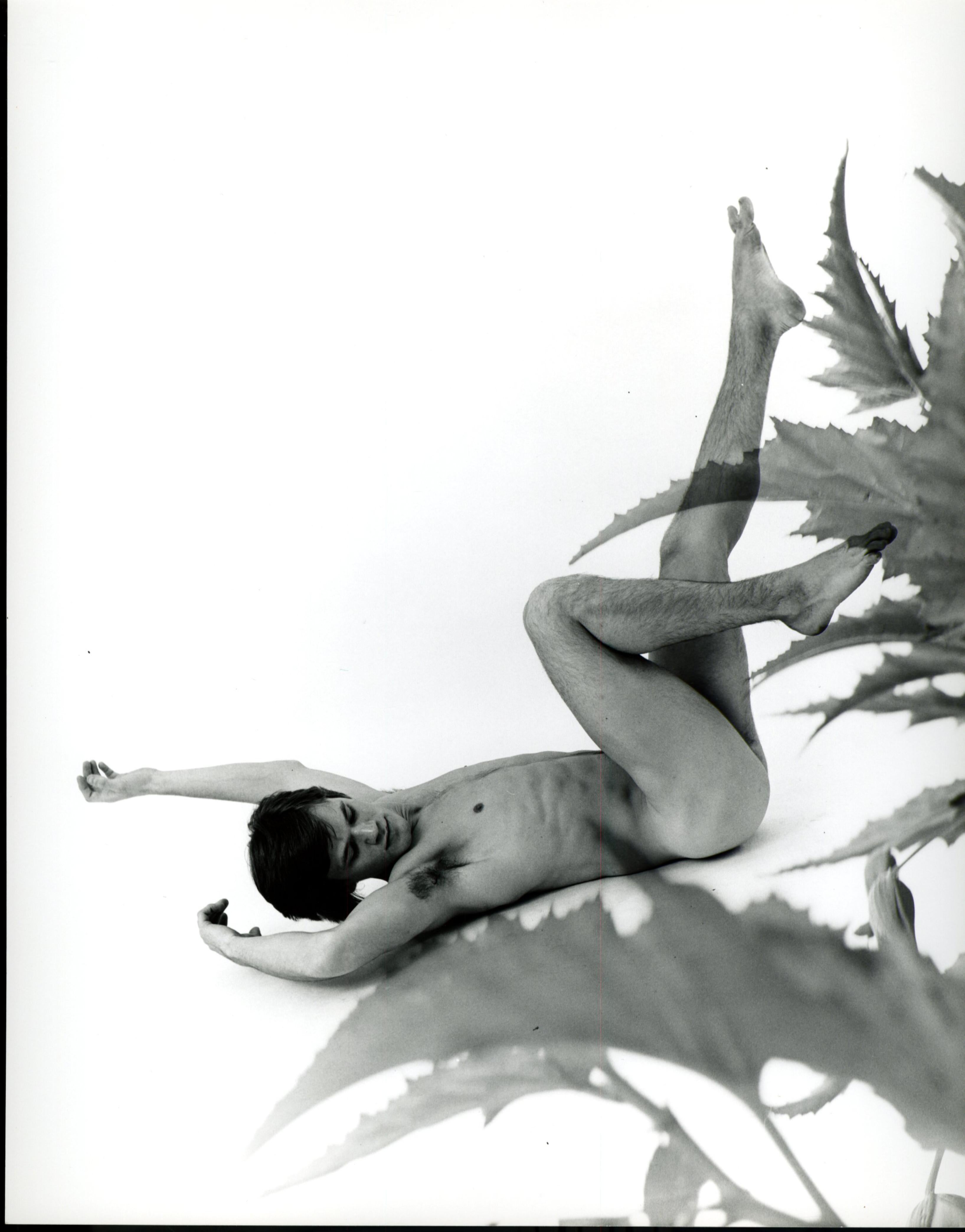 Jack Mitchell Black and White Photograph - Nude male model multiple exposure with plant leaves