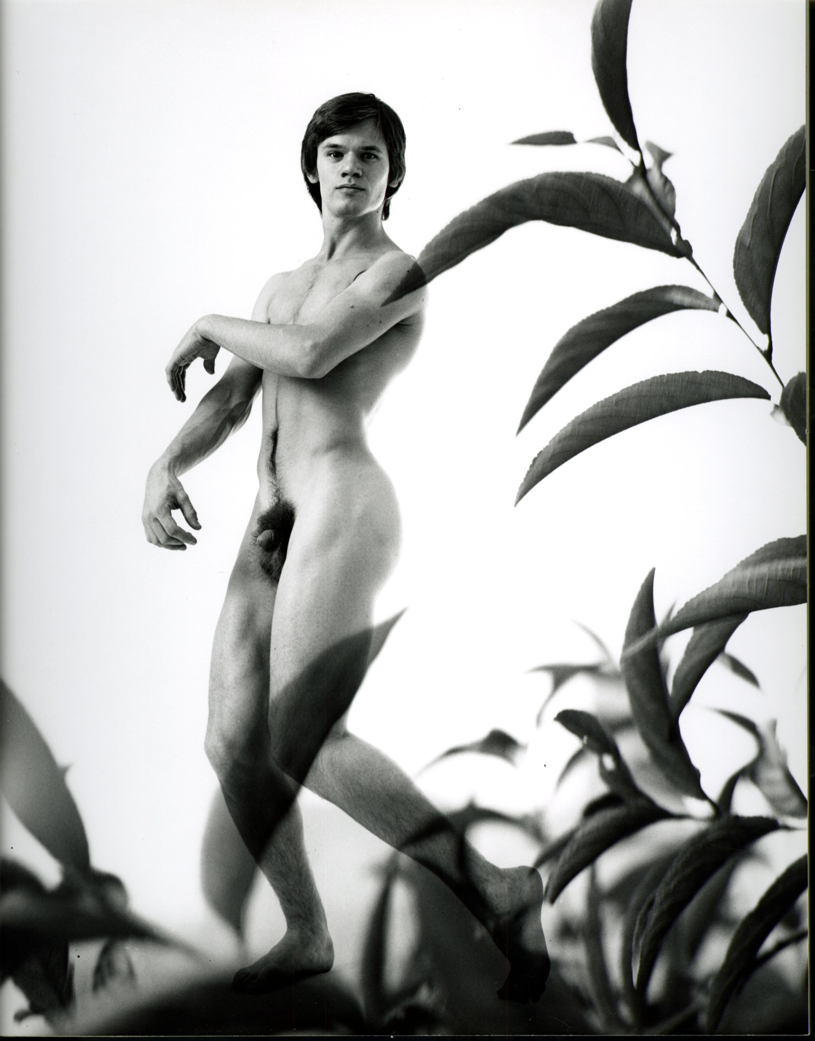 Männliches Aktmodell mit mehreren exposures und Pflanzenblättern, signiert von Jack Mitchell