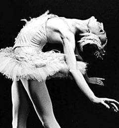 NYC Ballet principal dancer Wendy Whelan 'Swan Lake', signed by Jack Mitchell