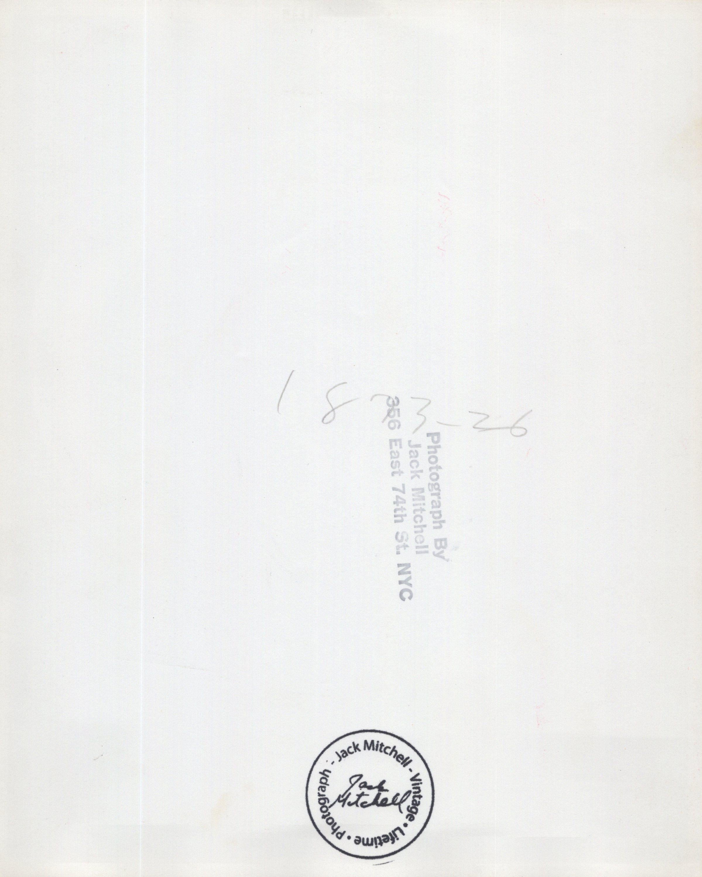 Pulitzer-Preisträger und preisgekrönter Dramatiker Tennessee Williams (Pop-Art), Photograph, von Jack Mitchell