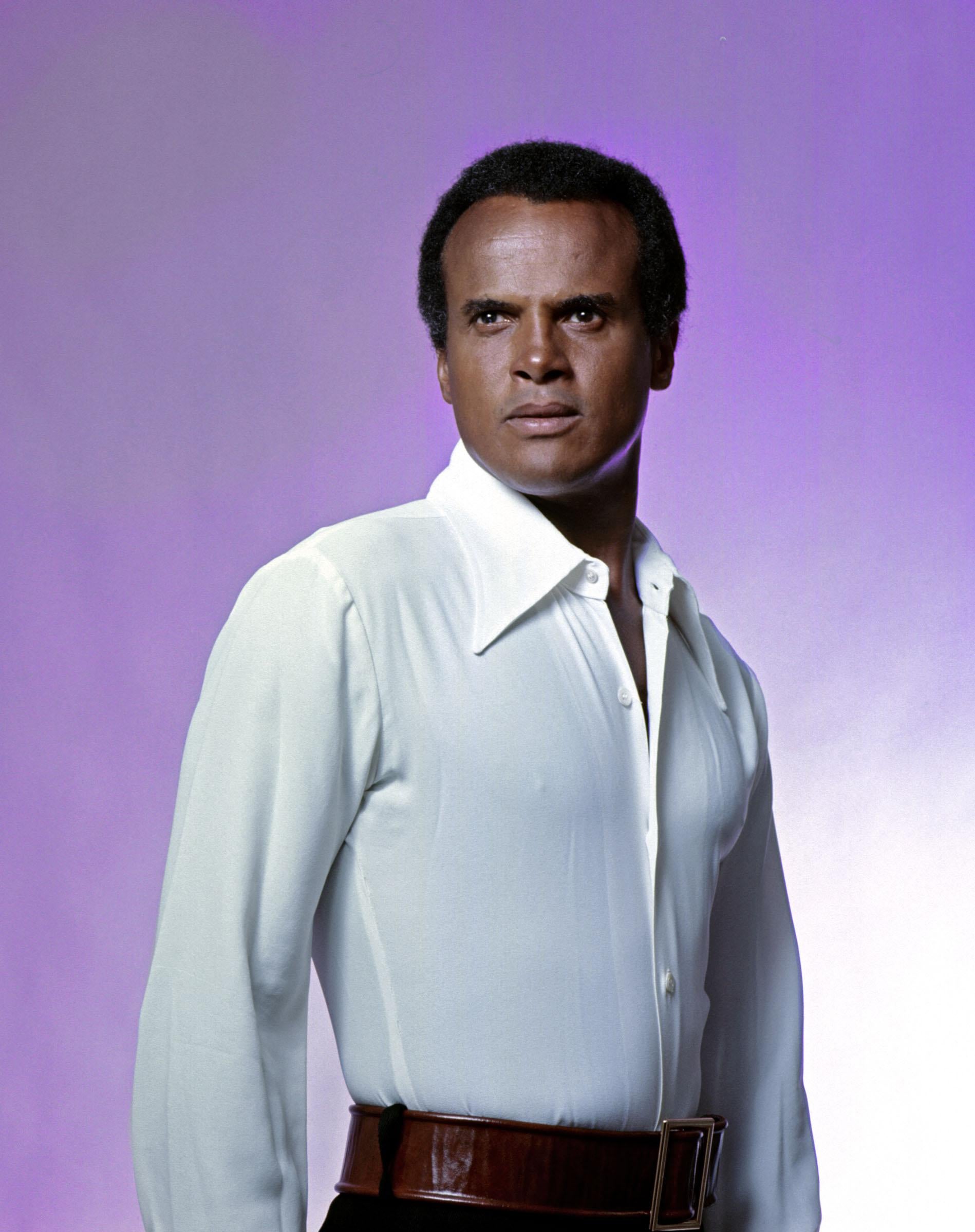 Portrait Photograph Jack Mitchell - Le chanteur Harry Belafonte, portrait emblématique, couleur 17 x 22 po.  Photographie d'exposition
