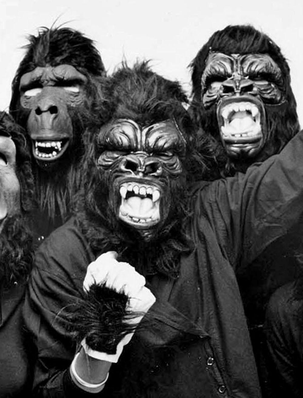 The Guerrilla Girls, anonymous feminist, female activist artist group - Photograph by Jack Mitchell