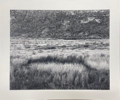 River Bottom Near Santa Elena, Big Bend by Jack Ridley, 2012, Photography
