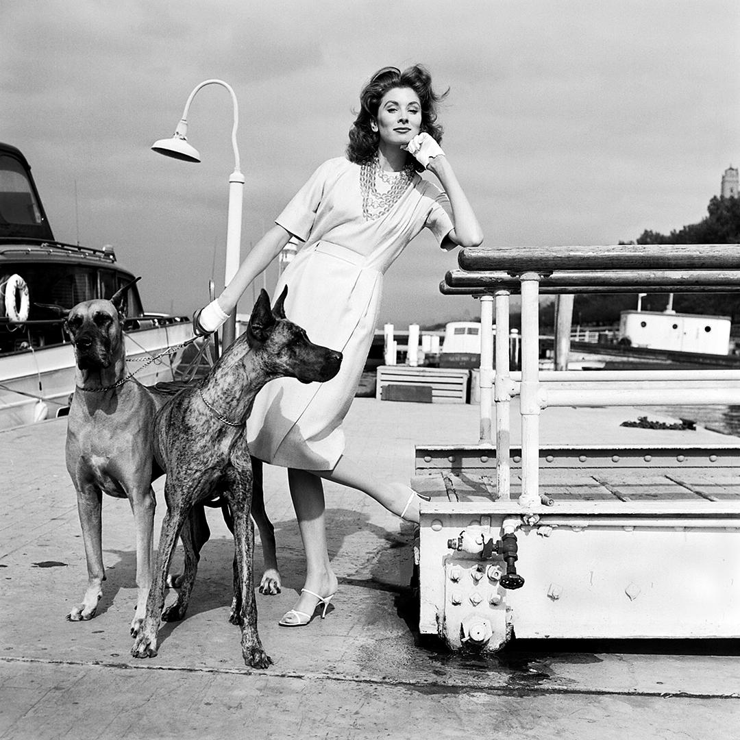 Portrait Photograph di Jack Robinson - Suzy Parker e gli alani
