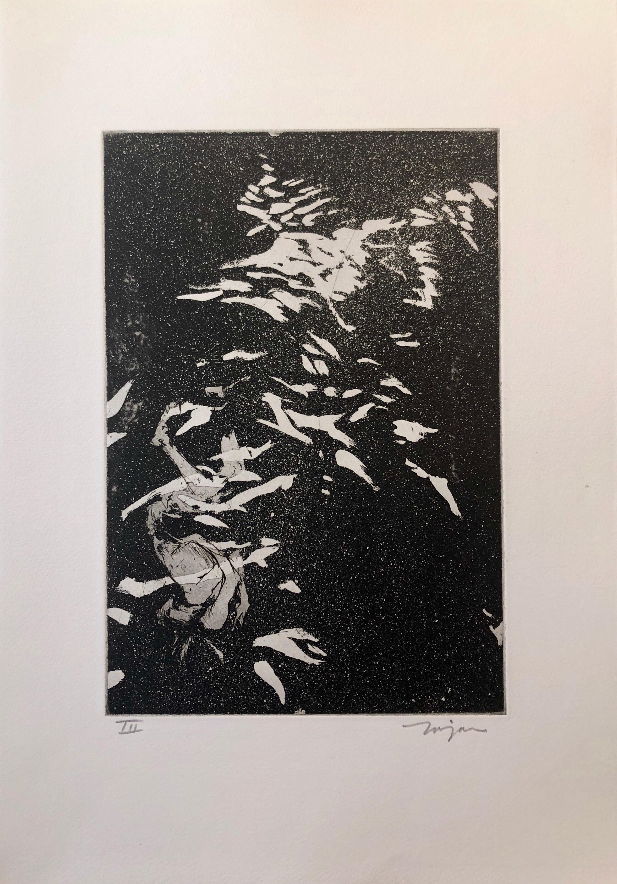 Jack Zajac, Amerikaner, geboren 1929
1964 Radierung und Aquatinta, handgedruckt auf Fabriano-Papier, mit Bleistift signiert und mit Auflage versehen. 
Ausgabe Römische Ziffer III
Bild: 12 9/16 x 8 5/8 in. (31,9 x 21,9 cm)
Blatt: 20 x 14 Zoll (50,8 x