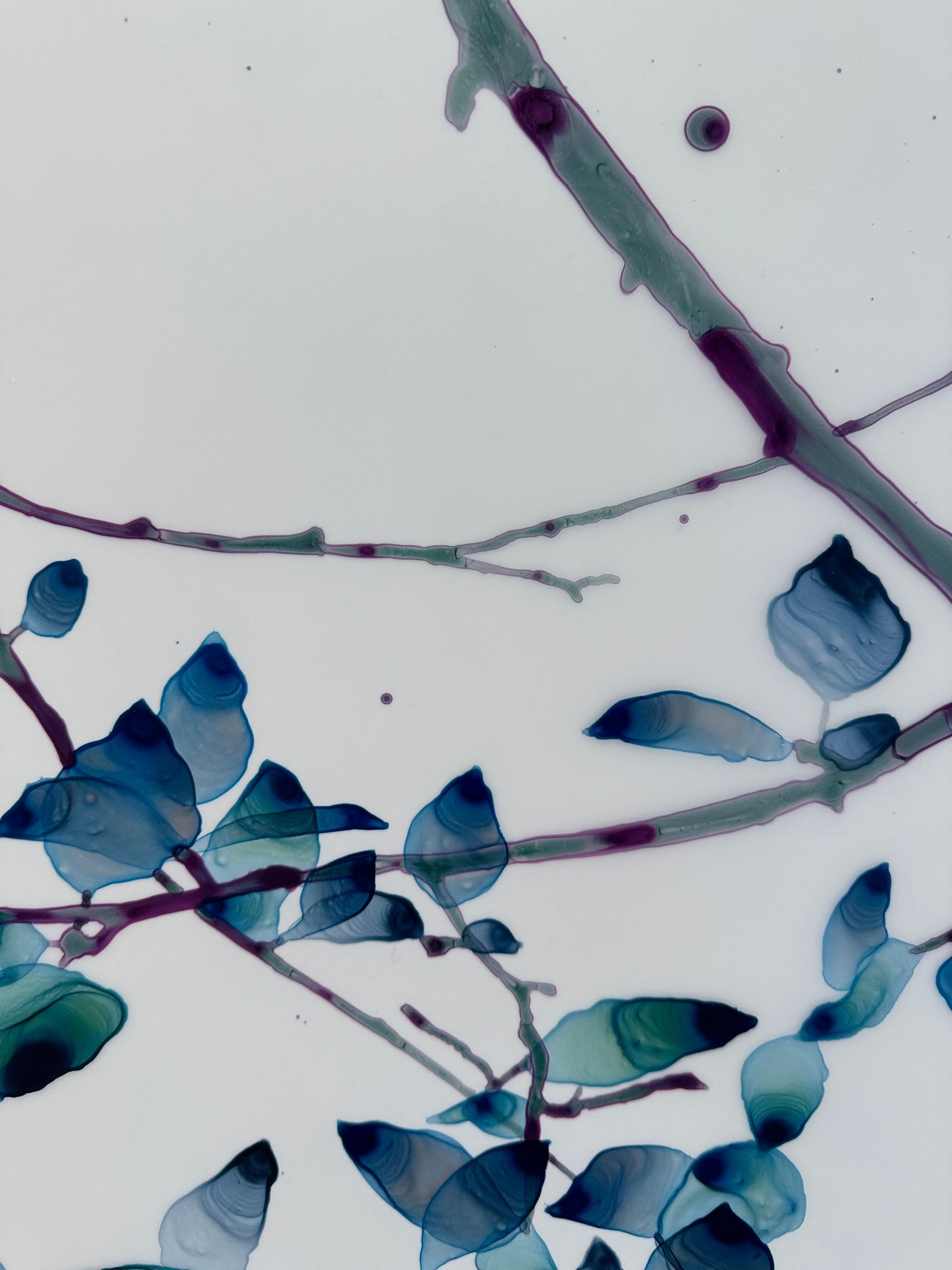 All A Drift, Teal Blue, Dark Violet Botanical Tree Branches on Mylar For Sale 2