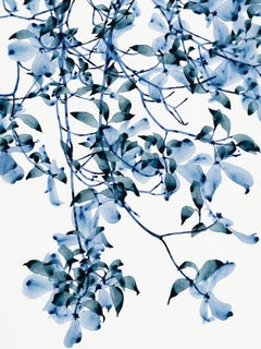 April Frost Cs2, peinture d'arbre botanique verticale sur mylar, bleu cobalt, sarcelle