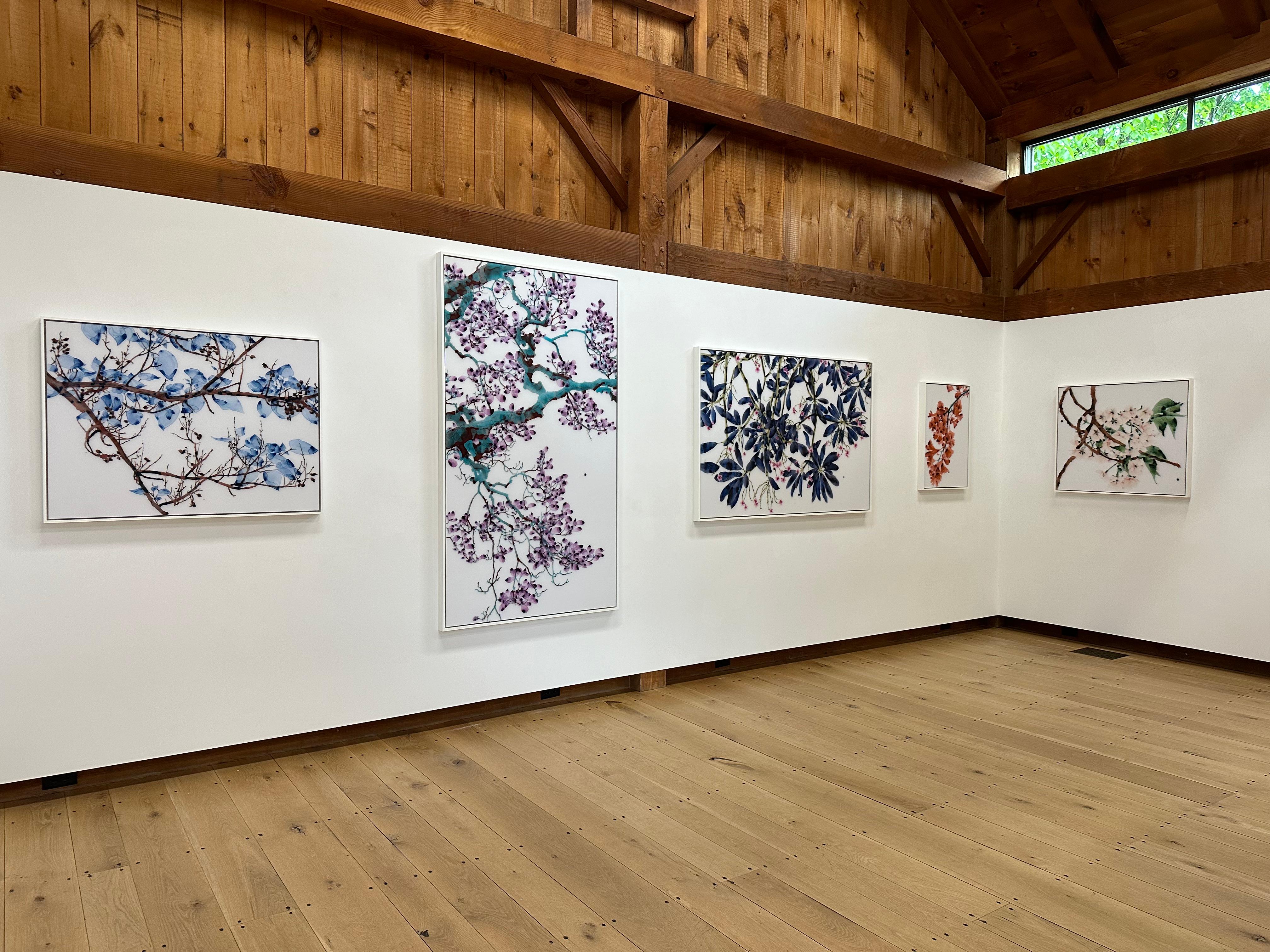 Aria turchese, viola, blu verde acqua, albero marrone, pittura botanica su Mylar in vendita 9