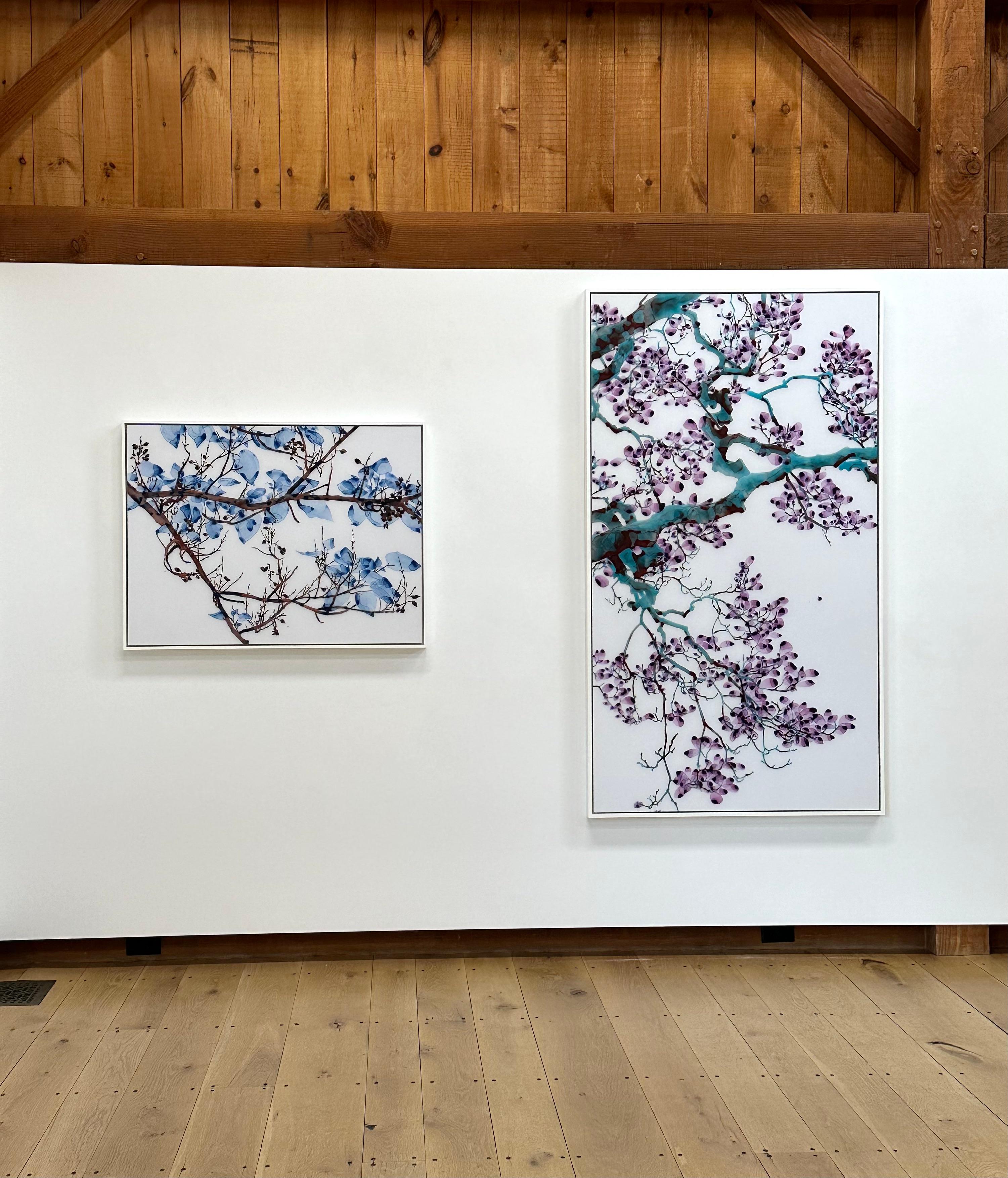 Aria turchese, viola, blu verde acqua, albero marrone, pittura botanica su Mylar - Painting Contemporaneo di Jackie Battenfield