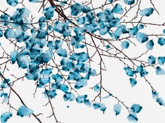 Blue Tumbler Cs2, Horizontal Bright Blue with Brown Botanical Tree Painting