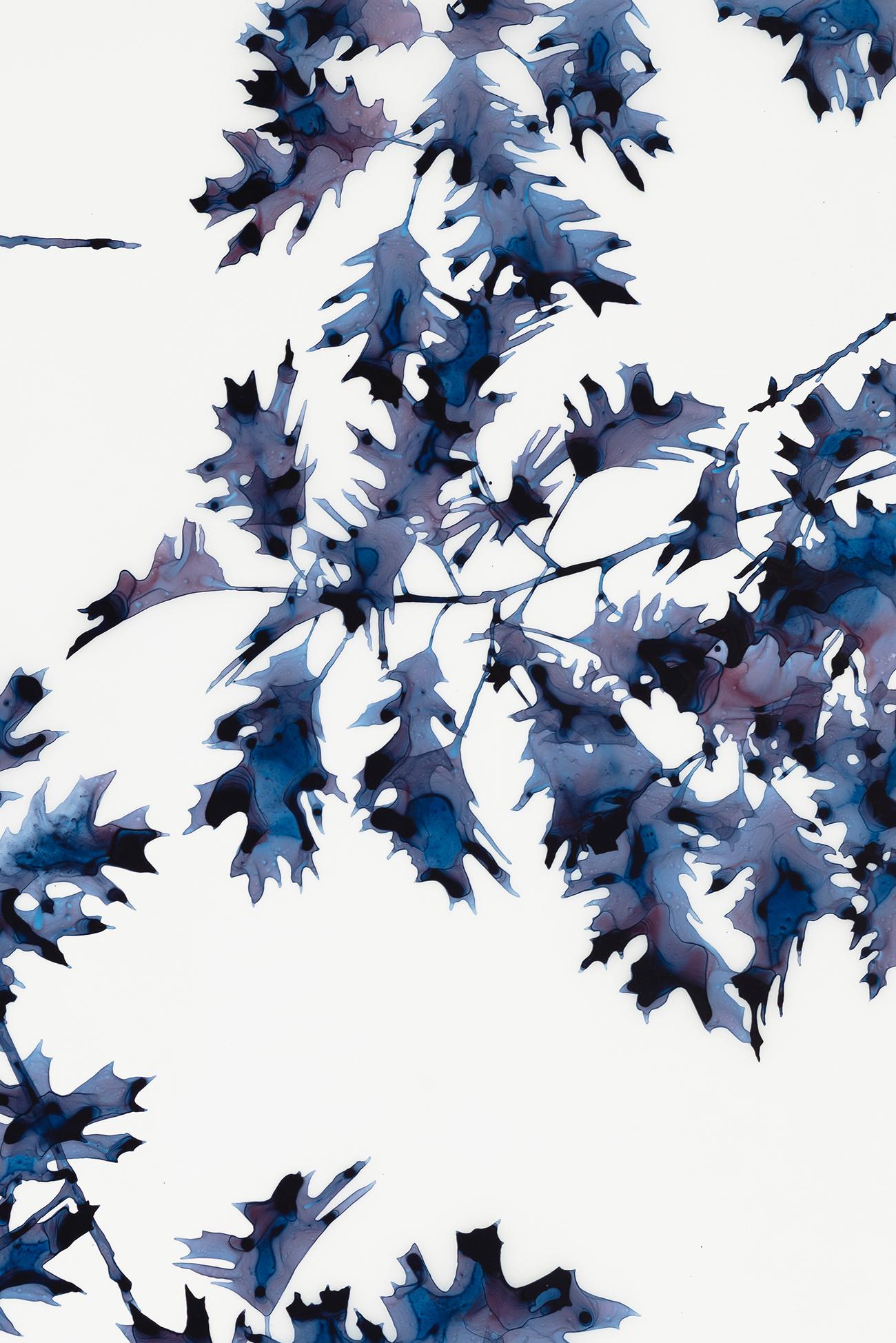 Briefly Shaded, Dark Indigo Blue Oak Leaf Botanical Tree Painting White Mylar For Sale 1