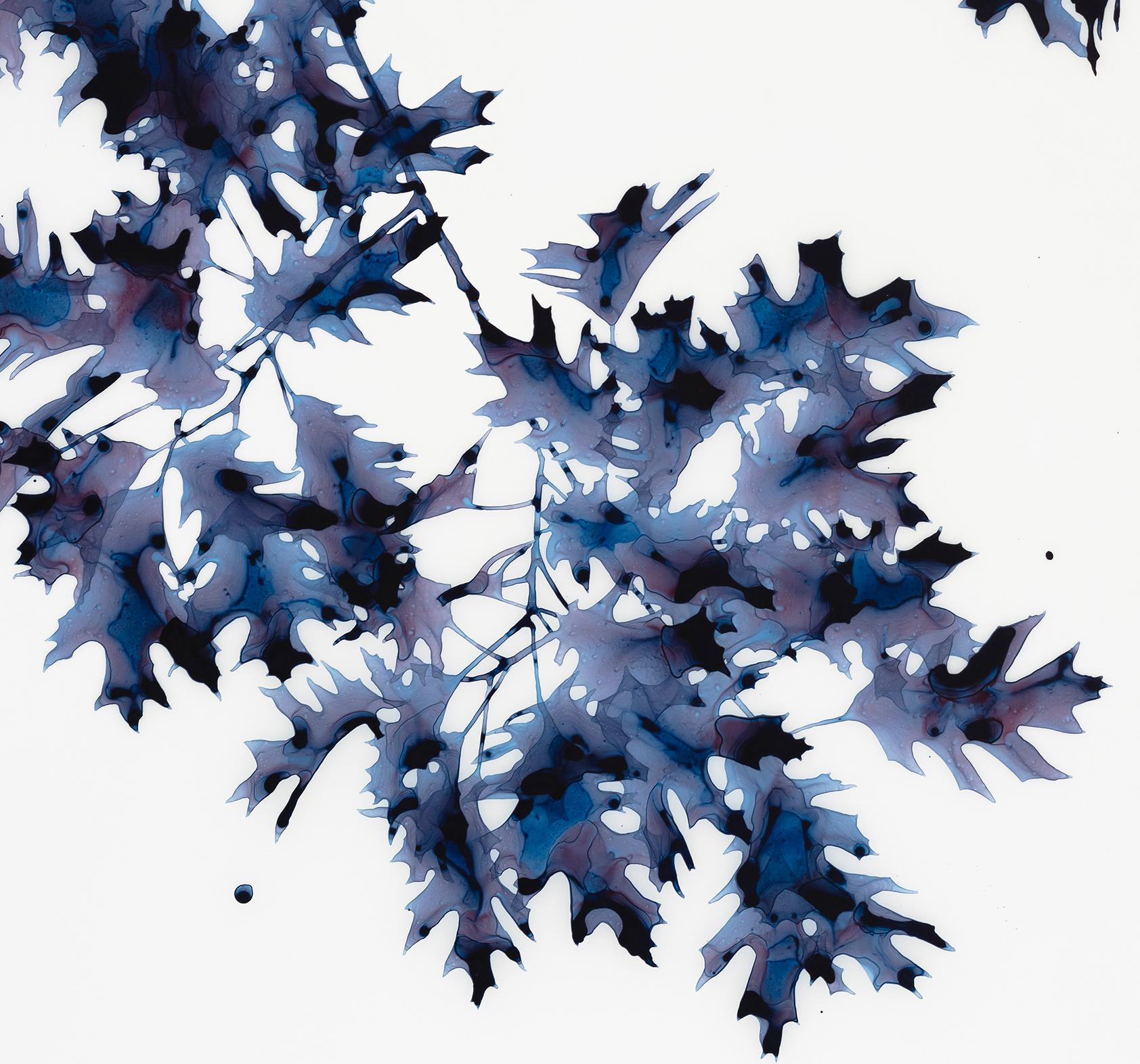 Briefly Shaded, Dark Indigo Blue Oak Leaf Botanical Tree Painting White Mylar For Sale 2