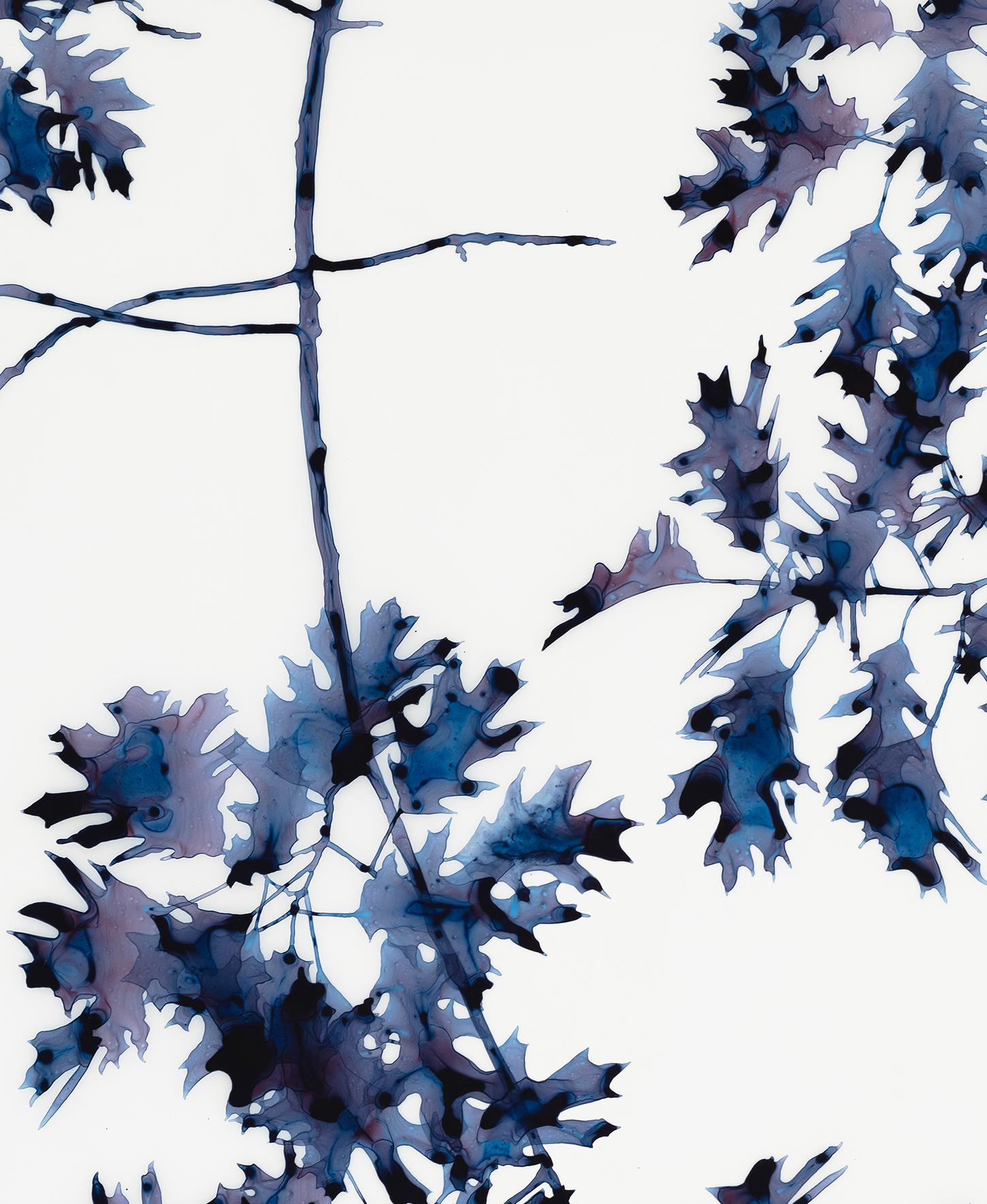 Briefly Shaded, Dark Indigo Blue Oak Leaf Botanical Tree Painting White Mylar For Sale 3