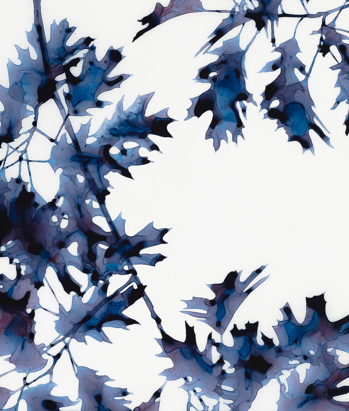 Briefly Shaded, Dark Indigo Blue Oak Leaf Botanical Tree Painting White Mylar For Sale 4