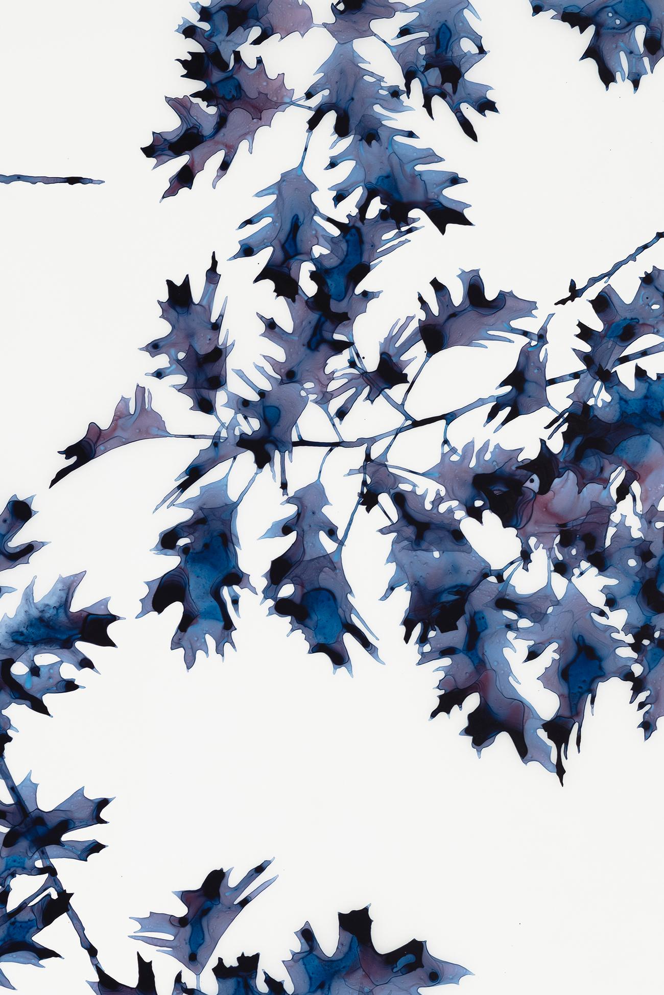 Albero botanico con foglie di quercia blu indaco scuro, brevemente ombreggiato, dipinto in Mylar bianco - Painting Contemporaneo di Jackie Battenfield