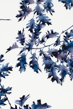 Briefly Shaded, Dark Indigo Blue Oak Leaf Botanical Tree Painting White Mylar