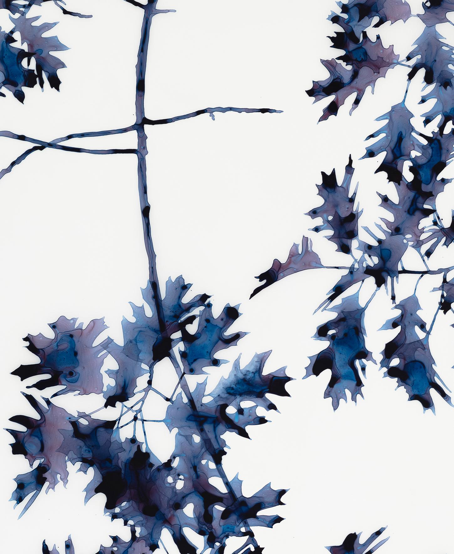 Albero botanico con foglie di quercia blu indaco scuro, brevemente ombreggiato, dipinto in Mylar bianco in vendita 1