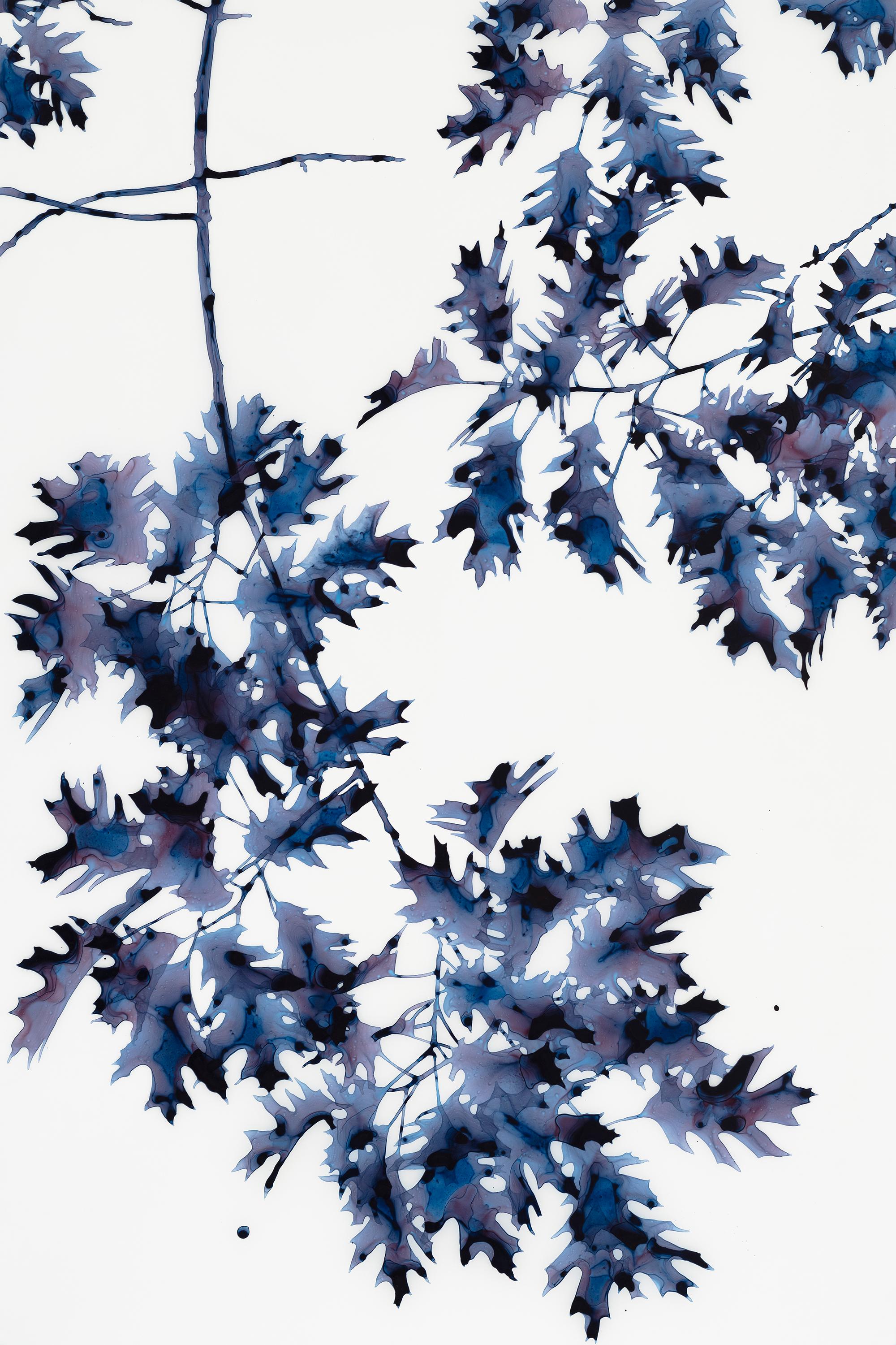 Albero botanico con foglie di quercia blu indaco scuro, brevemente ombreggiato, dipinto in Mylar bianco - Painting di Jackie Battenfield
