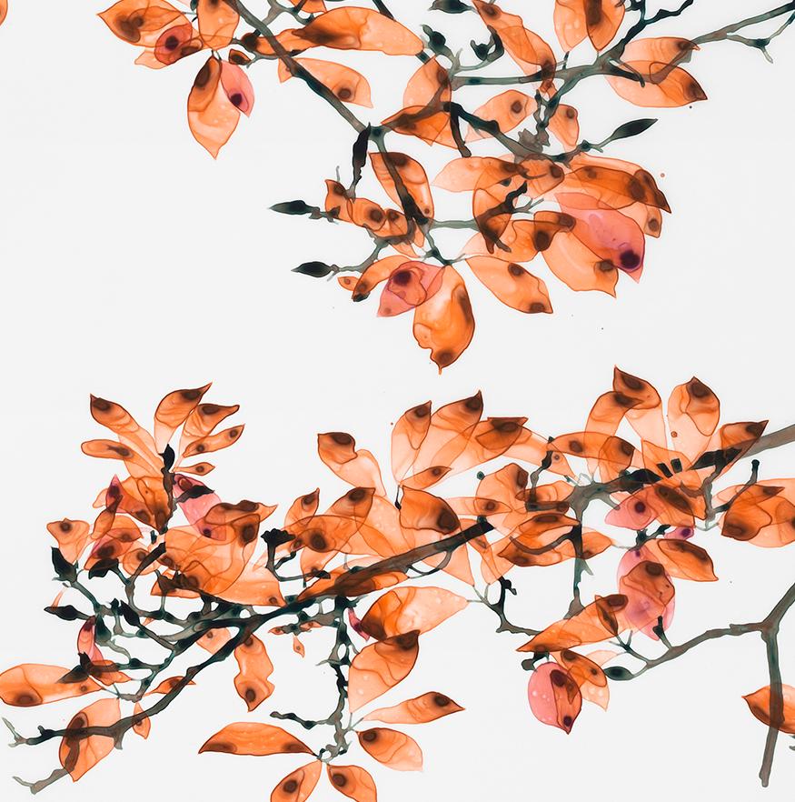 Coral Fling - Peinture botanique contemporaine sur Mylar, arbre orange, 2018. en vente 2