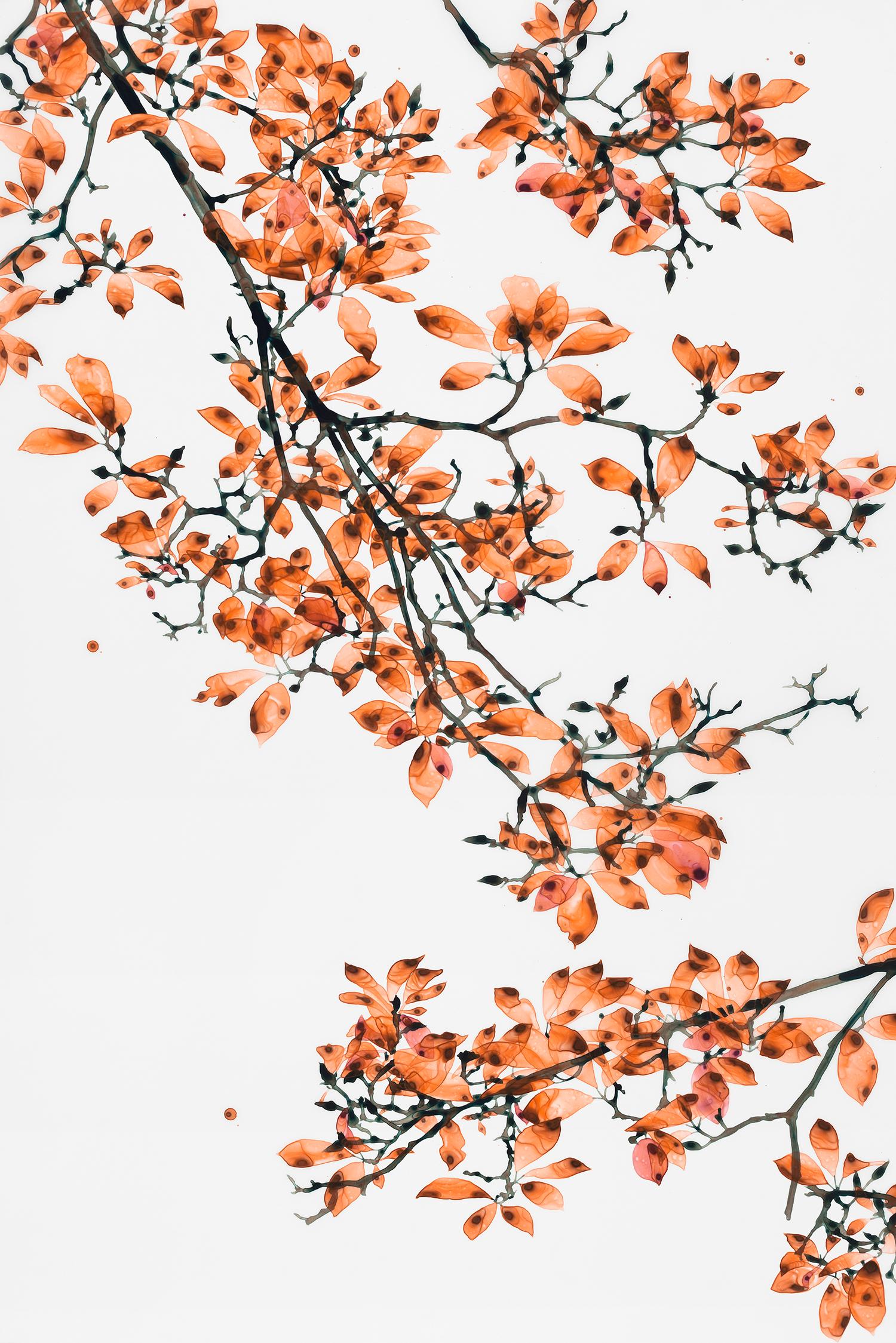 Coral Fling - Peinture botanique contemporaine sur Mylar, arbre orange, 2018. - Painting de Jackie Battenfield