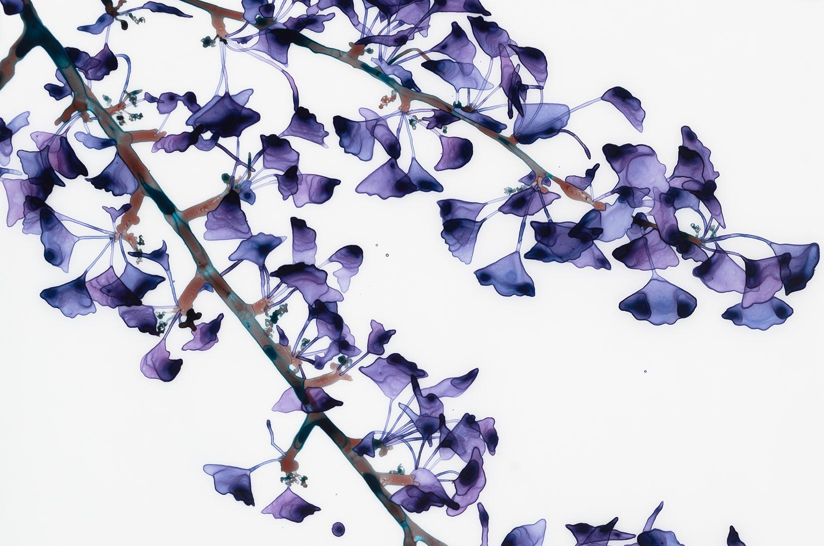 Delicate Slope Cs - Tree Branches, Gemälde auf Mylar- Violett-Lila-Blättern, 2017 im Angebot 1