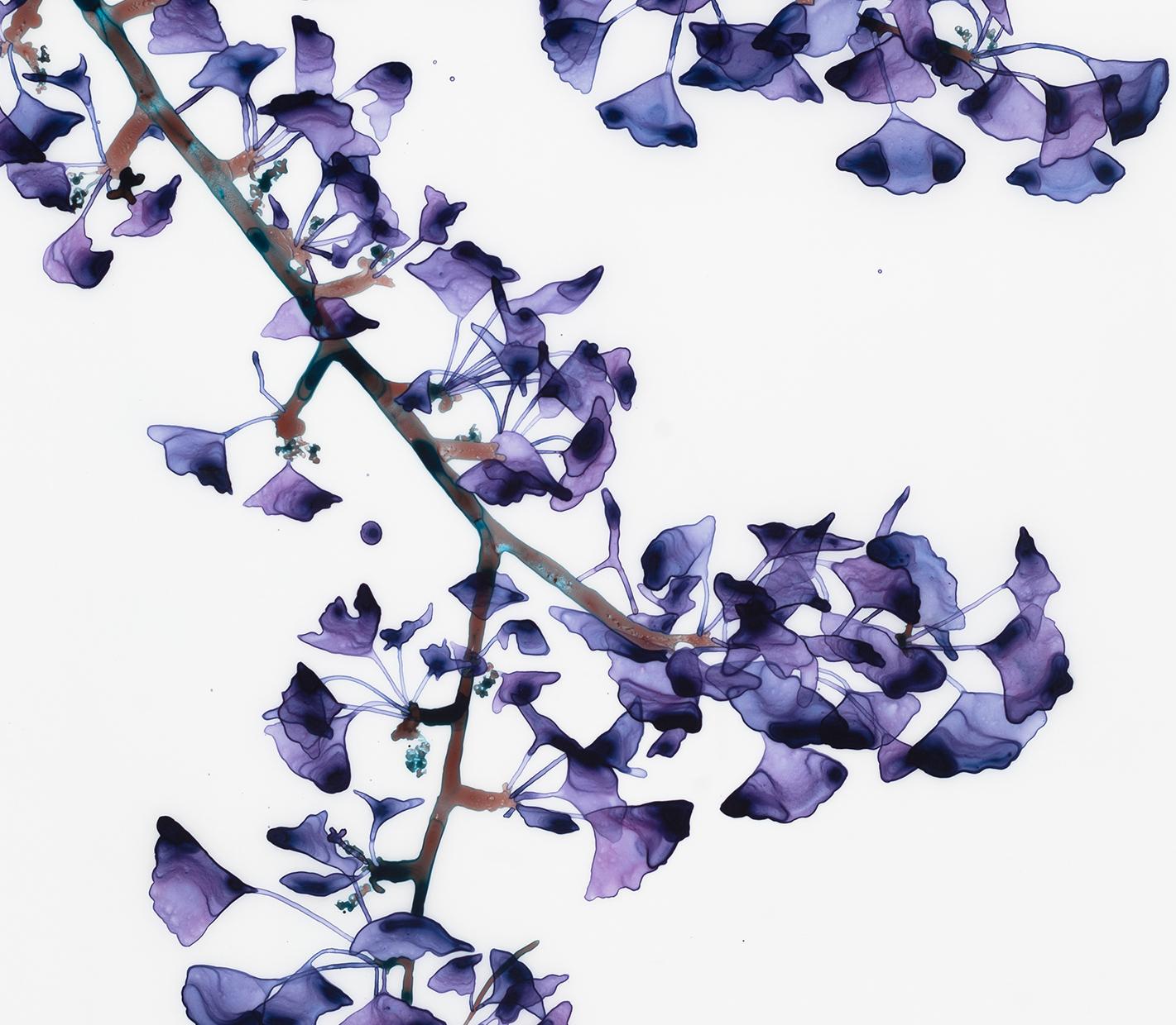 Gingko leaves in deep hues of purple and lavender on delicate brown branches with hints of teal are striking against the pristine white background of this vertical painting in acrylic on Mylar. 

Battenfield's works on Mylar require mounting and