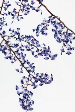 Delicate Slope, Vertical Purple Lavender Botanical Mylar Gingko Tree Painting