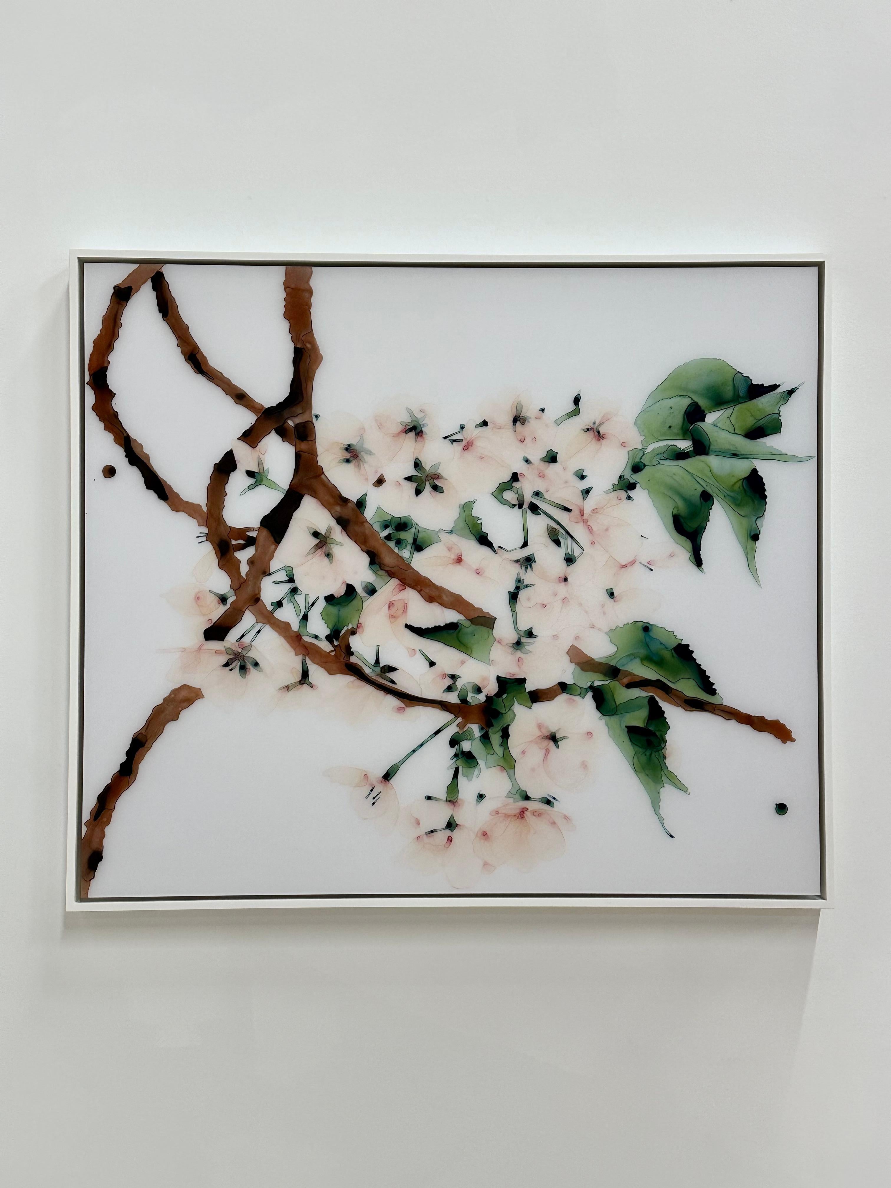 First Blush, Blasse Pfirsichblüten Brauner Baum, Olivenblätter Botanische Malerei (Zeitgenössisch), Painting, von Jackie Battenfield