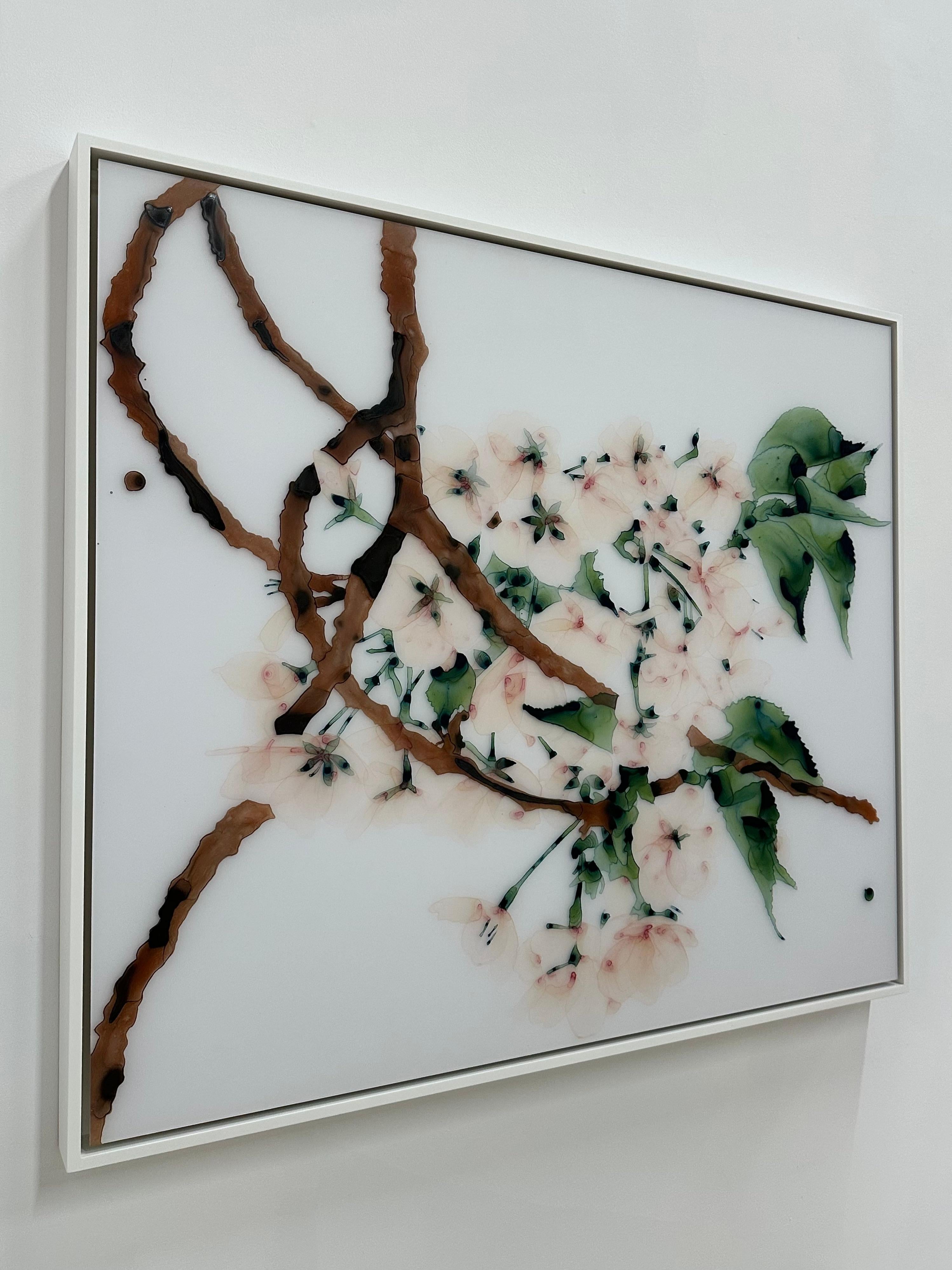 Blasspfirsichfarbene Blüten und olivgrüne Blätter zieren verbrannte umberbraune Zweige auf dem makellosen weißen Hintergrund dieses Gemäldes auf Mylar, das auf eine Acrylplatte montiert ist.

Gerahmt in einem soliden, weißen Holzrahmen. Signiert,