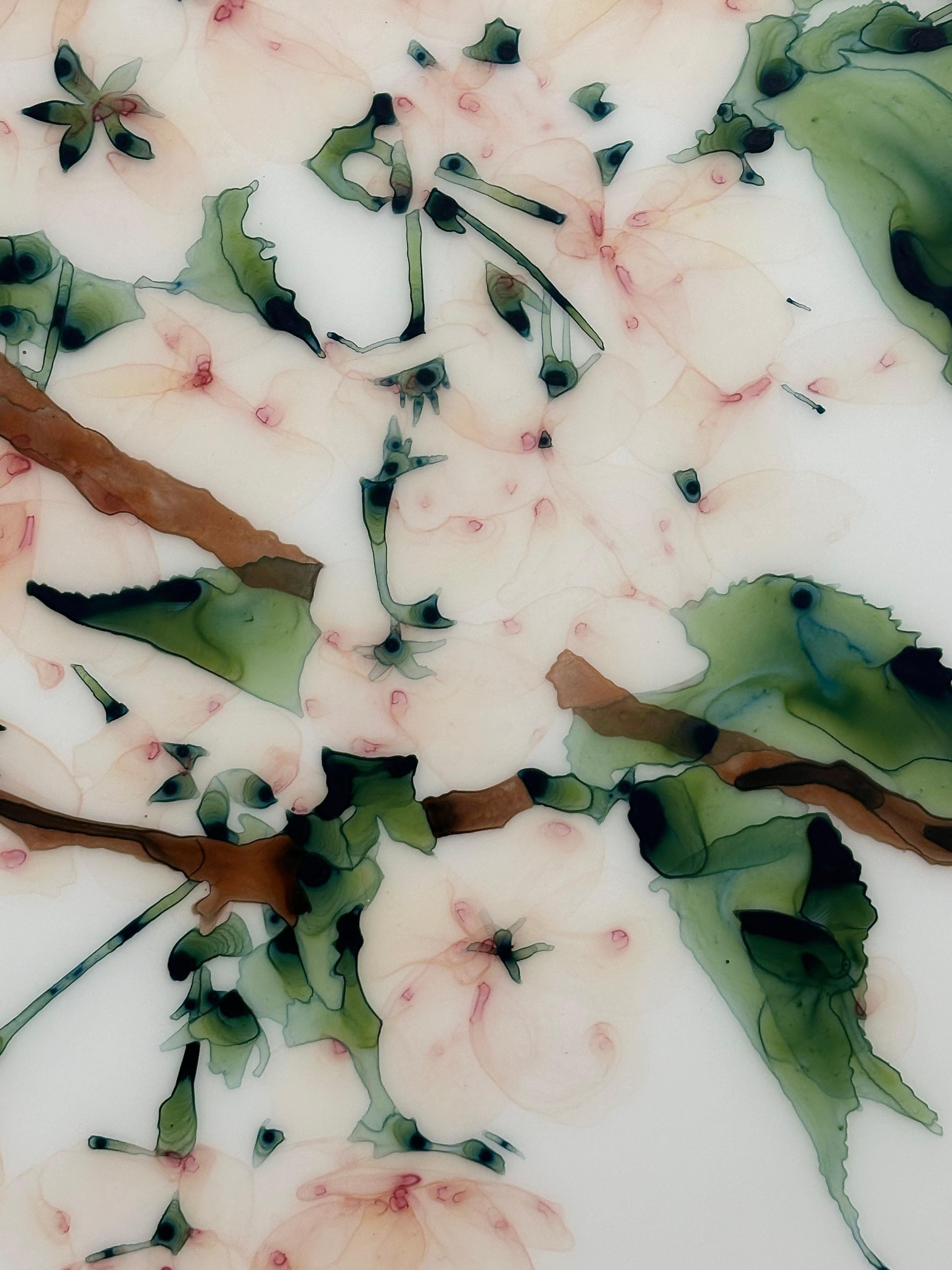 First Blush, Blasse Pfirsichblüten Brauner Baum, Olivenblätter Botanische Malerei im Angebot 3
