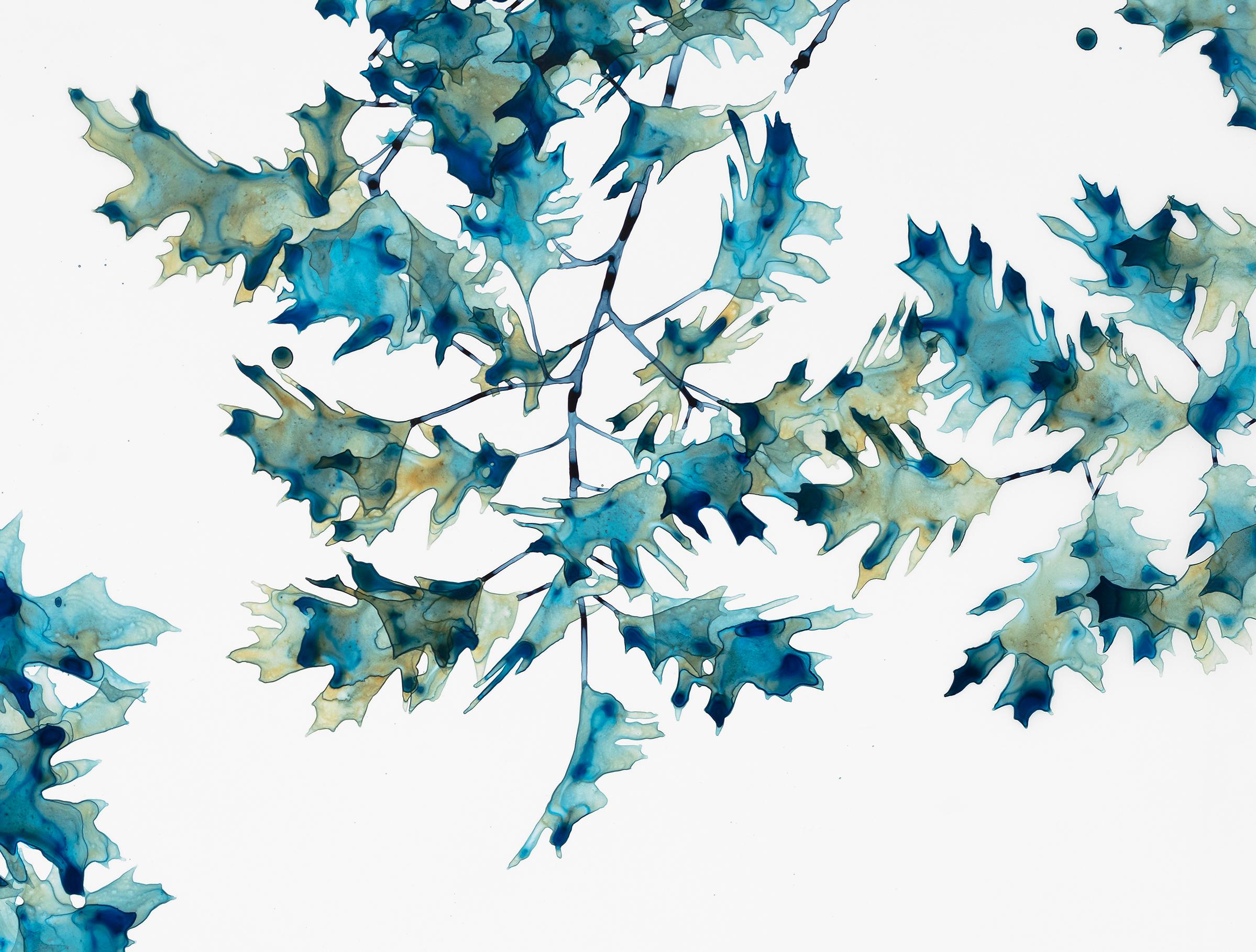 First Frost, Horizontal Botanical Tree Painting in Teal Green on White Mylar 3