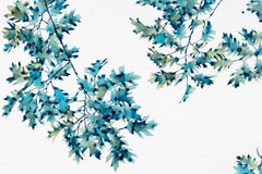 First Frost, Horizontal Botanical Tree Painting in Teal Green on White Mylar