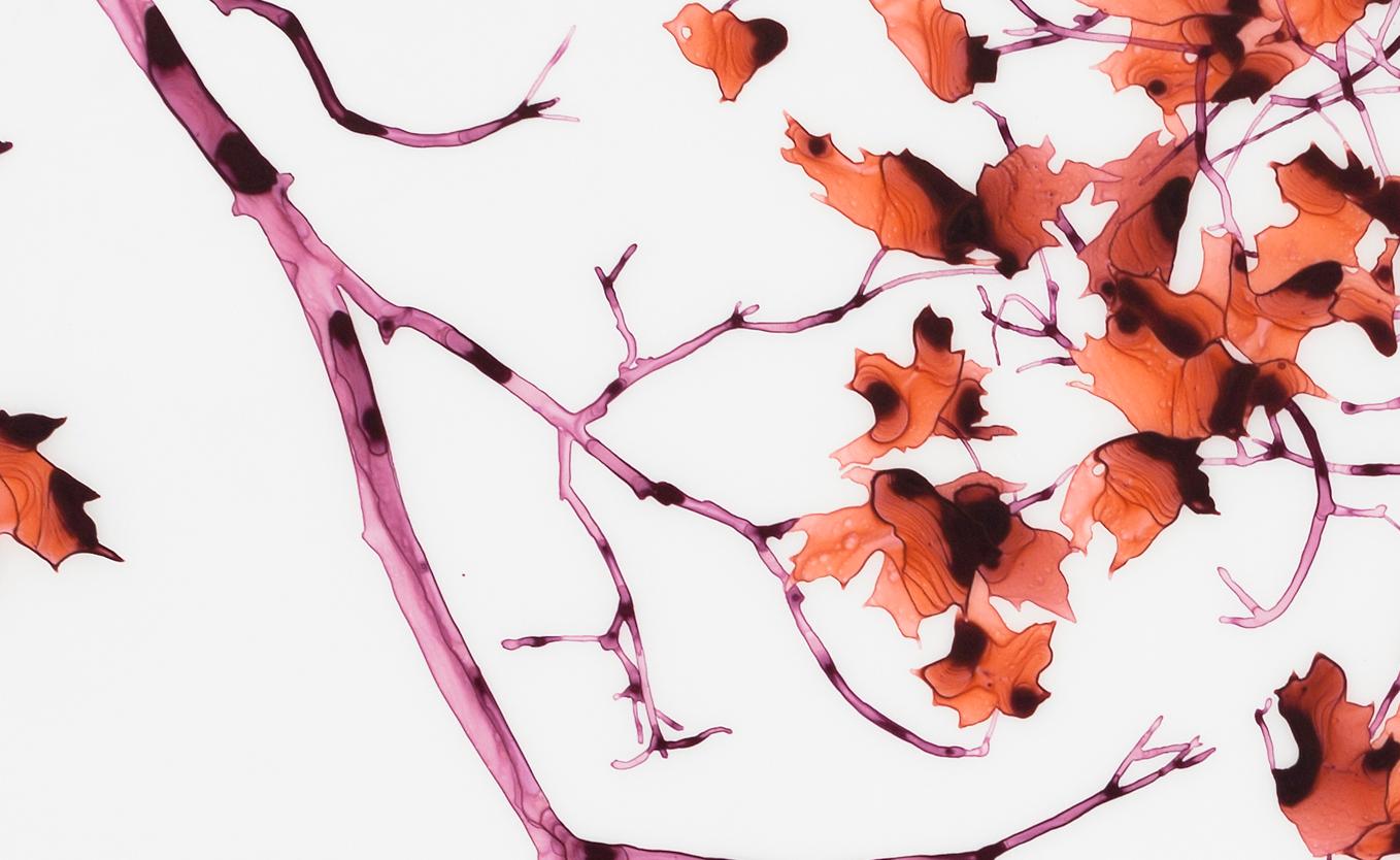 Hot Chimera, Red Leaves, Magenta Pink Branches Botanical Tree Painting On Mylar For Sale 2