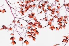 Hot Chimera, Rote Blätter, Magentarosa Zweige, botanisches Baumgemälde auf Mylar