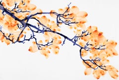Hot Wind Cs2, Horizontal Botanical Painting on Mylar, Orange Leaves, Indigo Blue