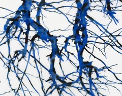 Inazuma m1, Cobalt, Dark Blue Tree Branches, White Mylar